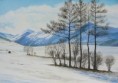 /album/ses-tableaux2/a14-monts-d-auvergne-jpg/